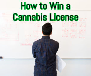 How-to-Win-a-Cannabis-License-with-Canna-Advisors-1-300x251.jpg