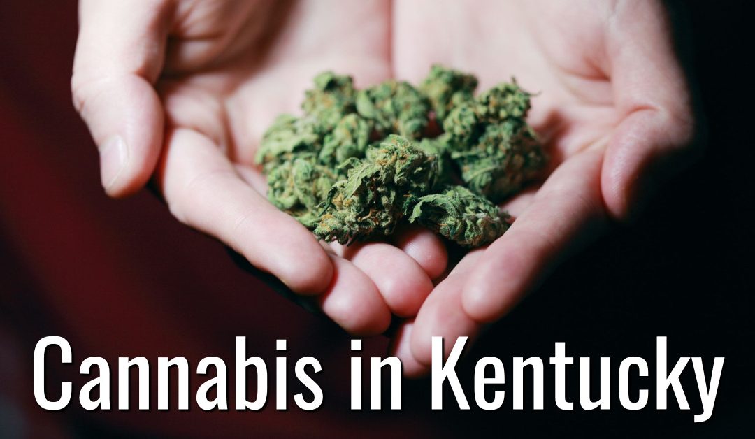 Kentucky Cannabis Lawyer
