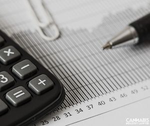 Cannabis Business Plan