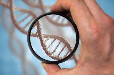 https-theforayfirm-com-images-easyblog_images-620-b2ap3_thumbnail_genetics-dna-divorce-genes-jpg