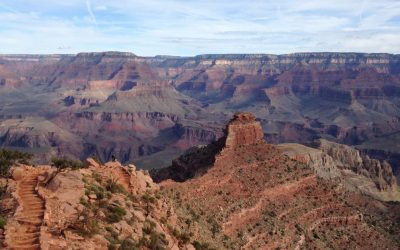 Arizona Marijuana Establishment License