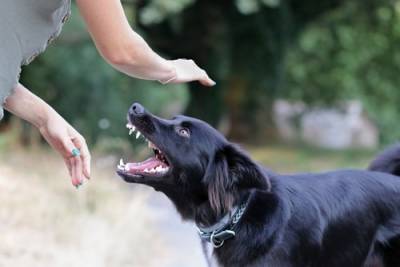https-www-schwartzinjurylaw-com-images-easyblog_images-620-b2ap3_thumbnail_shutterstock_2045681591-min-jpg