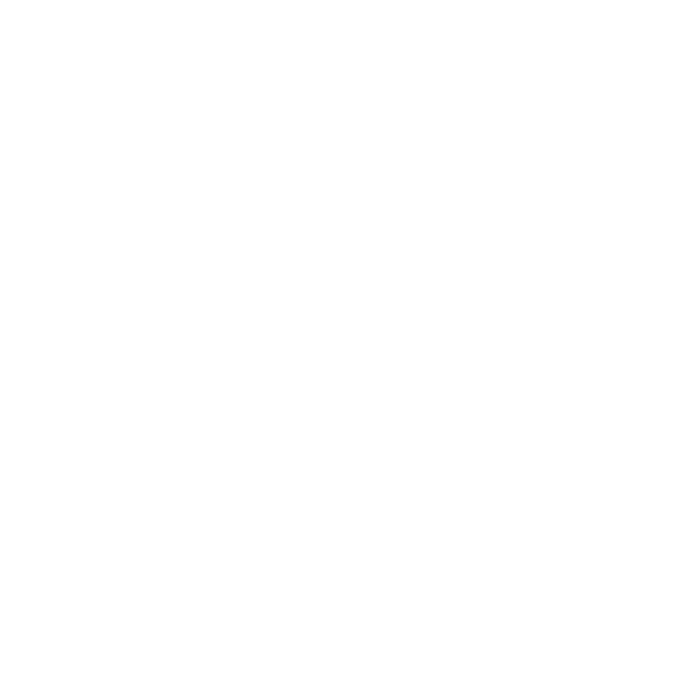Ankin Law logo