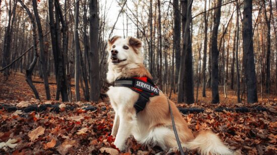 1775681769-140898-3159-lxb_photosOegq0nnNgElxb_photo-