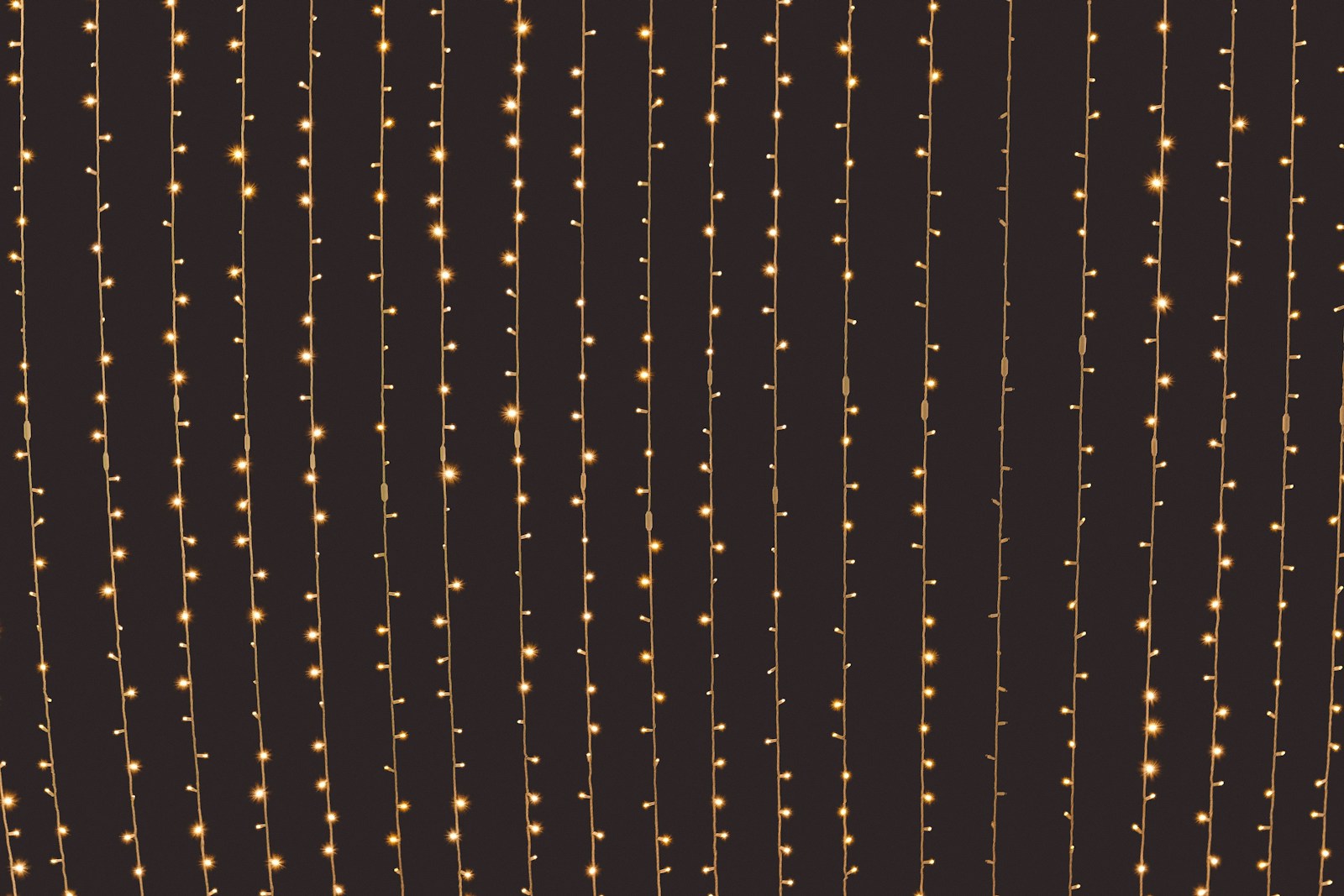 Xmas lights on Santa Monica Promenade
